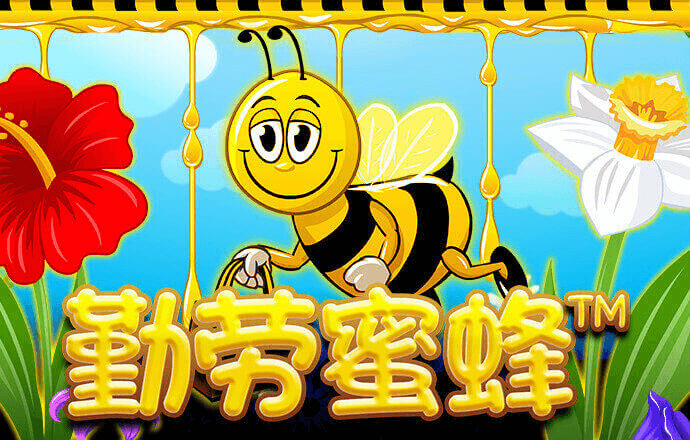 8188cc威尼斯版本
